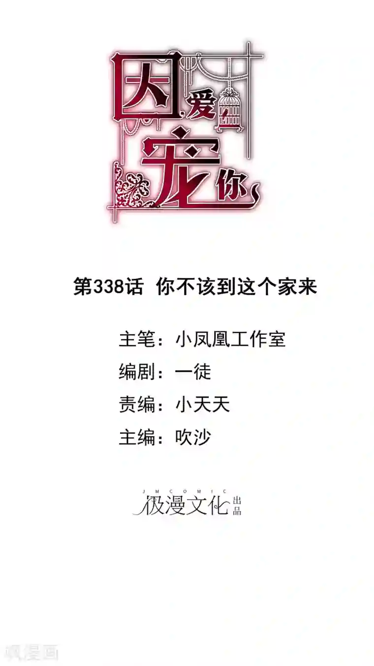 因爱宠你第338话
