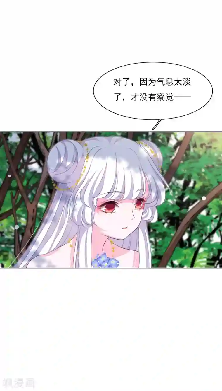 穿回古代做国宝第156话 我去追