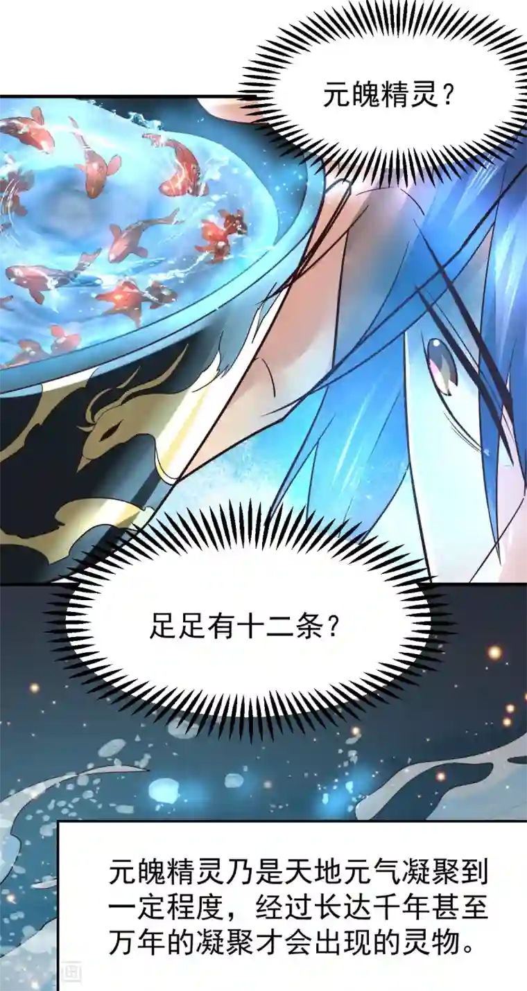 本婿修的是贱道第63话 元魄精灵