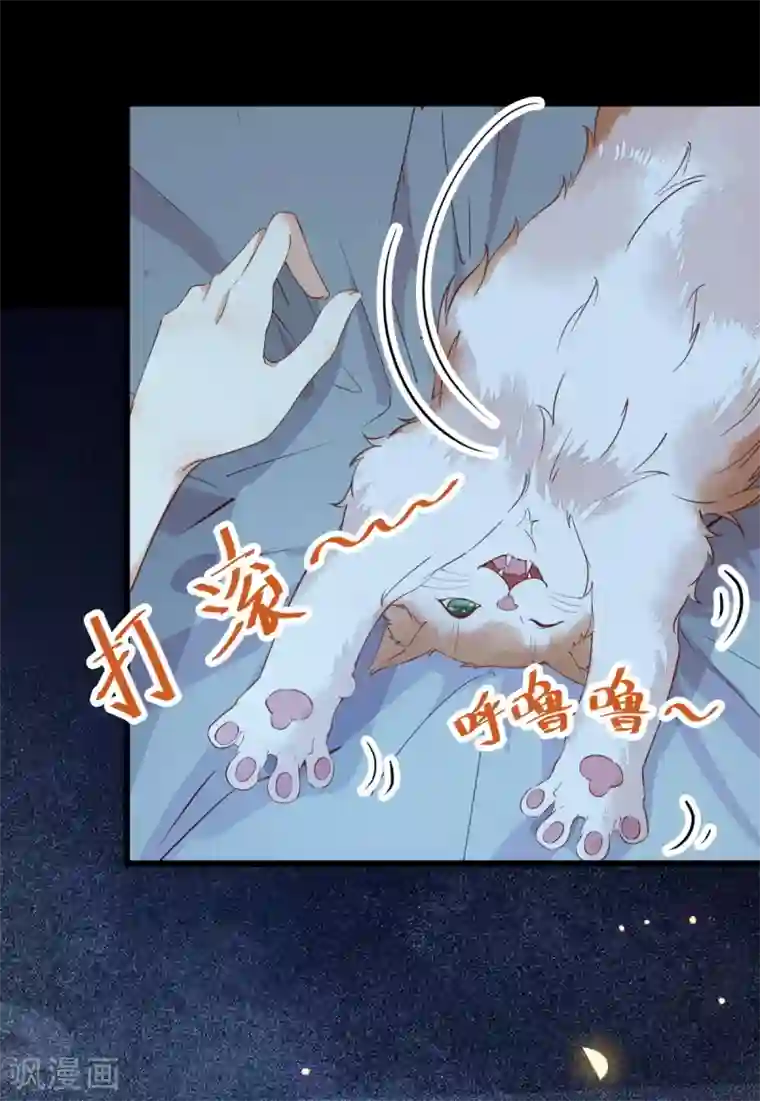 杀手王妃不好惹第38话 重逢