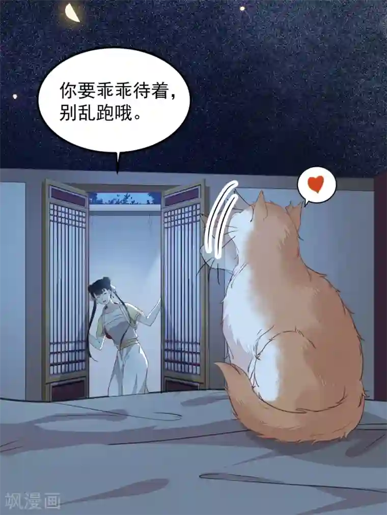 杀手王妃不好惹第38话 重逢