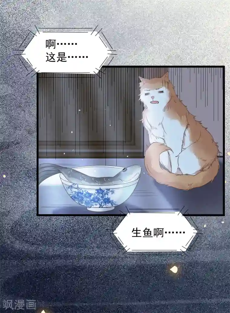 杀手王妃不好惹第38话 重逢