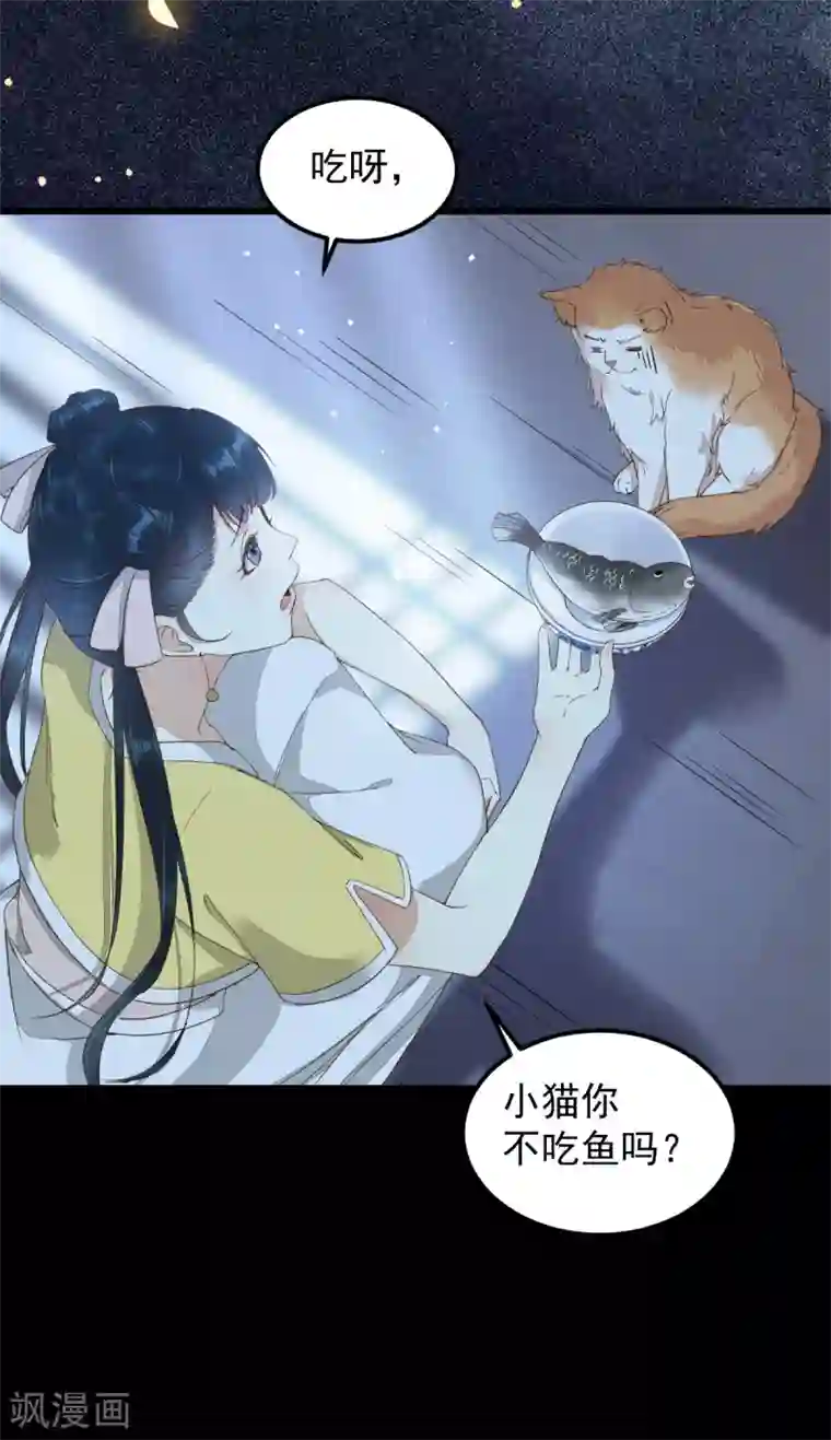 杀手王妃不好惹第38话 重逢