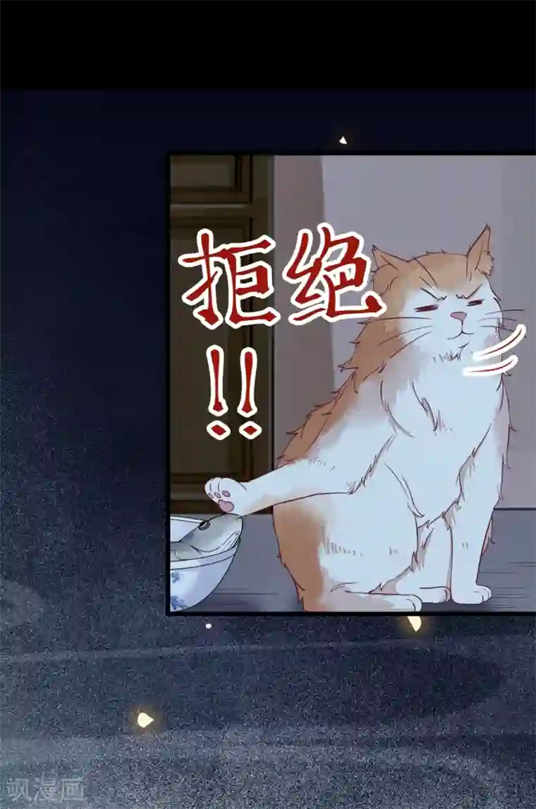 杀手王妃不好惹第38话 重逢