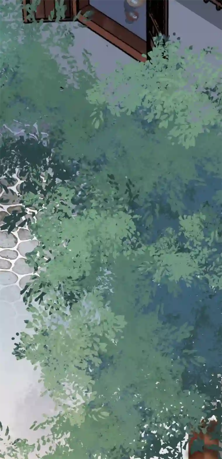 杀手王妃不好惹第38话 重逢