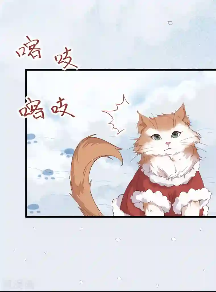 杀手王妃不好惹第38话 重逢