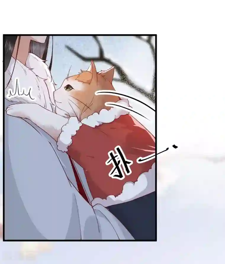 杀手王妃不好惹第39话 玄冰密室