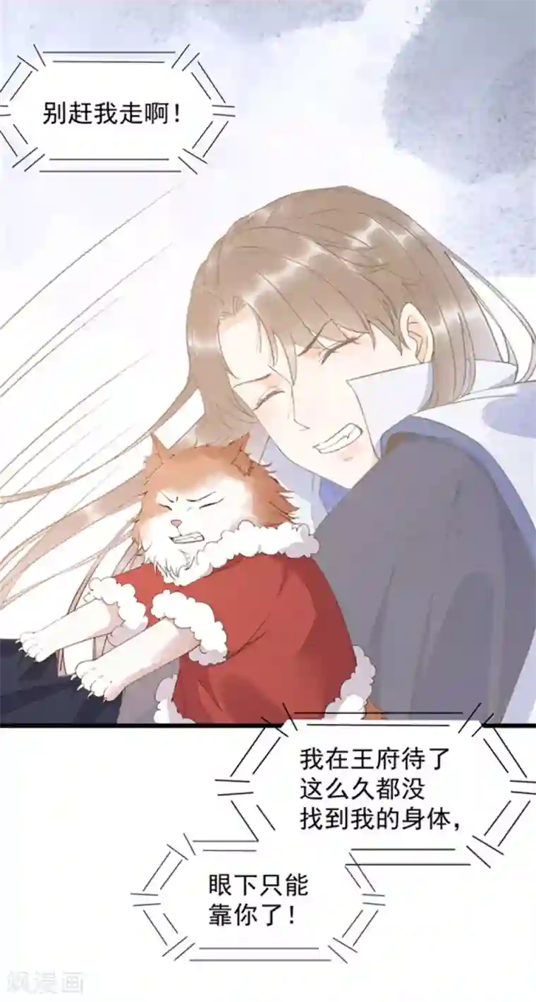 杀手王妃不好惹第39话 玄冰密室