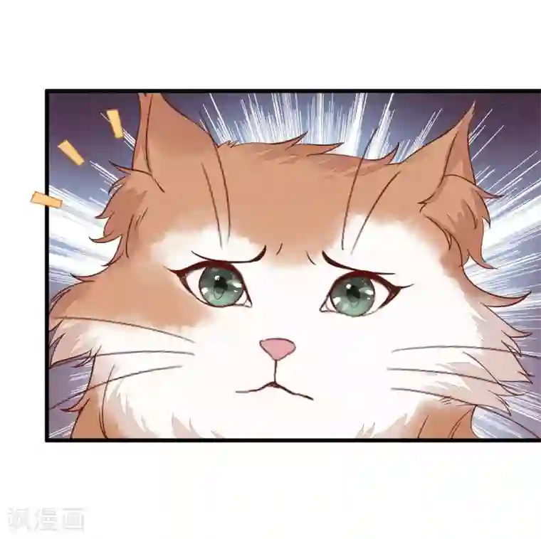 杀手王妃不好惹第39话 玄冰密室