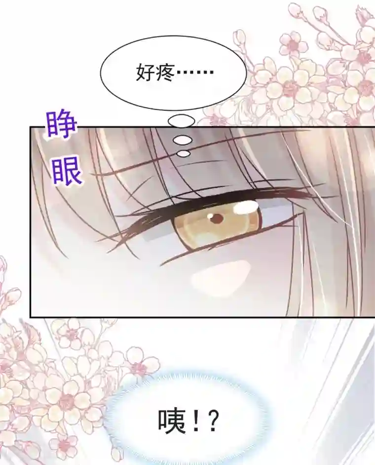 天下第一宠第65话 夜袭箐王