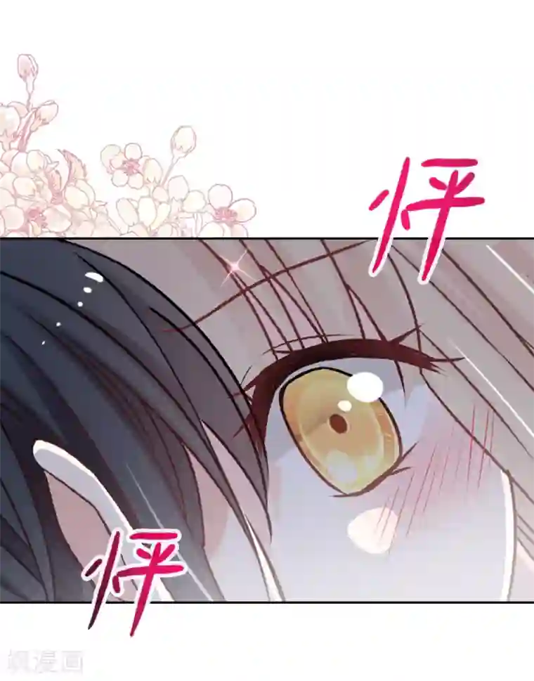 天下第一宠第65话 夜袭箐王