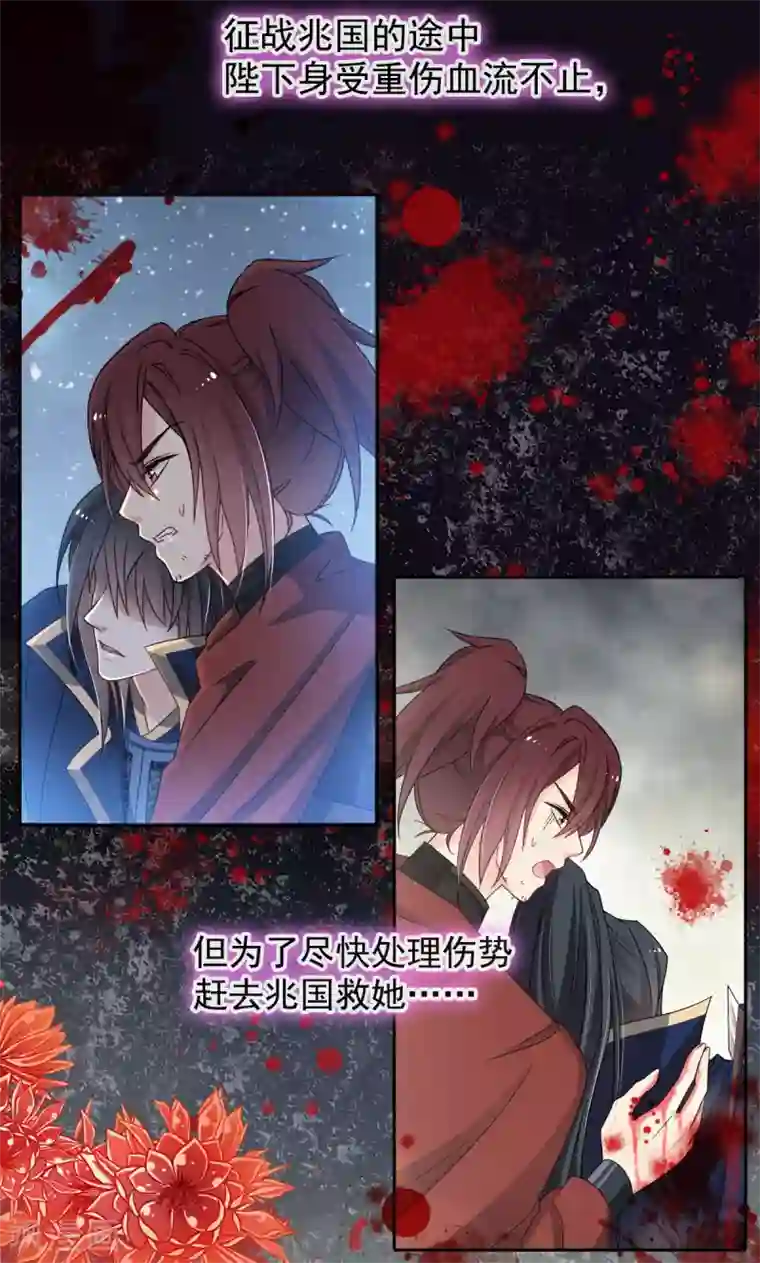 天下第一宠第67话 兆国篇·终章