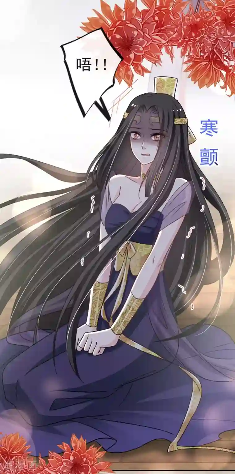 天下第一宠第67话 兆国篇·终章