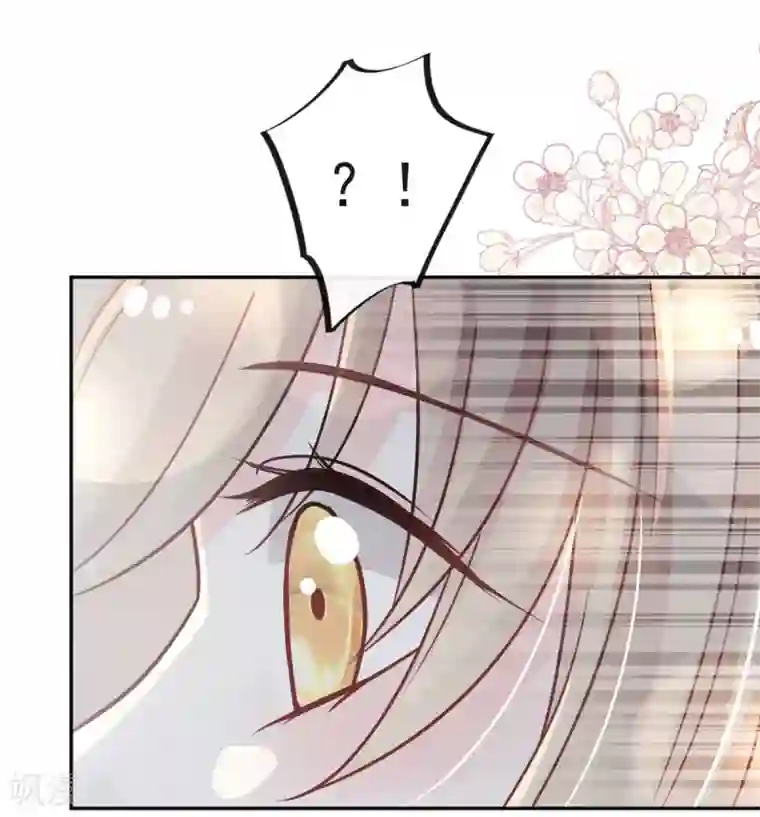 天下第一宠第77话 她是我的