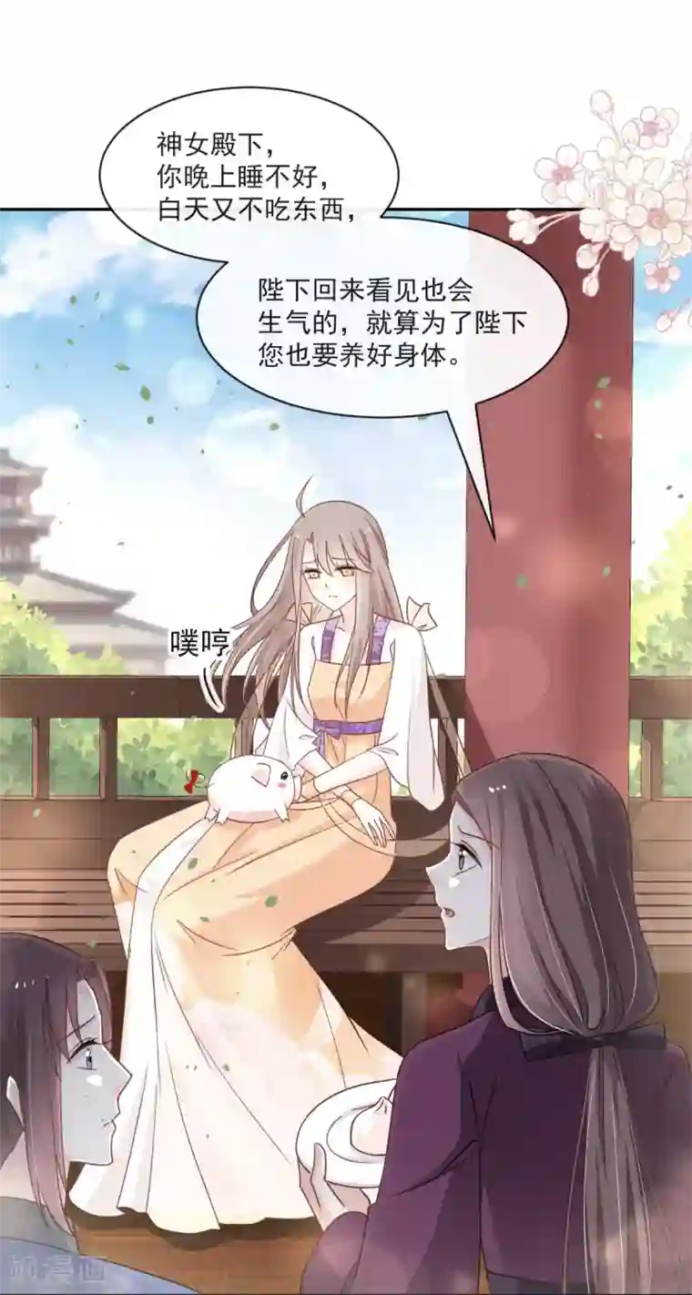 天下第一宠第90话 开始反击