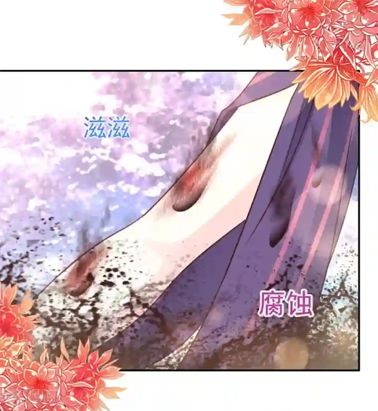 天下第一宠第105话 生死别离