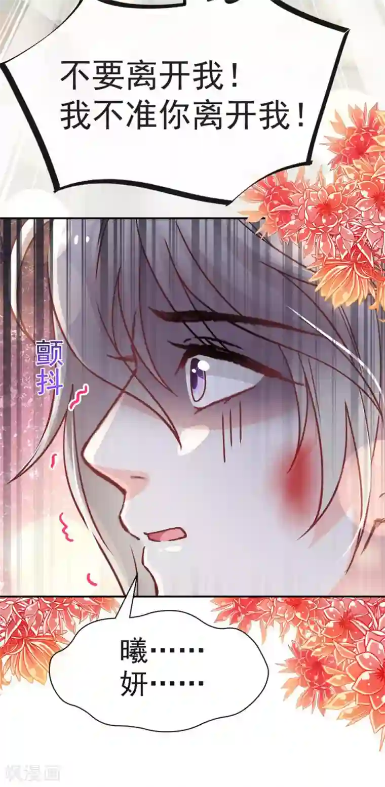 天下第一宠第105话 生死别离