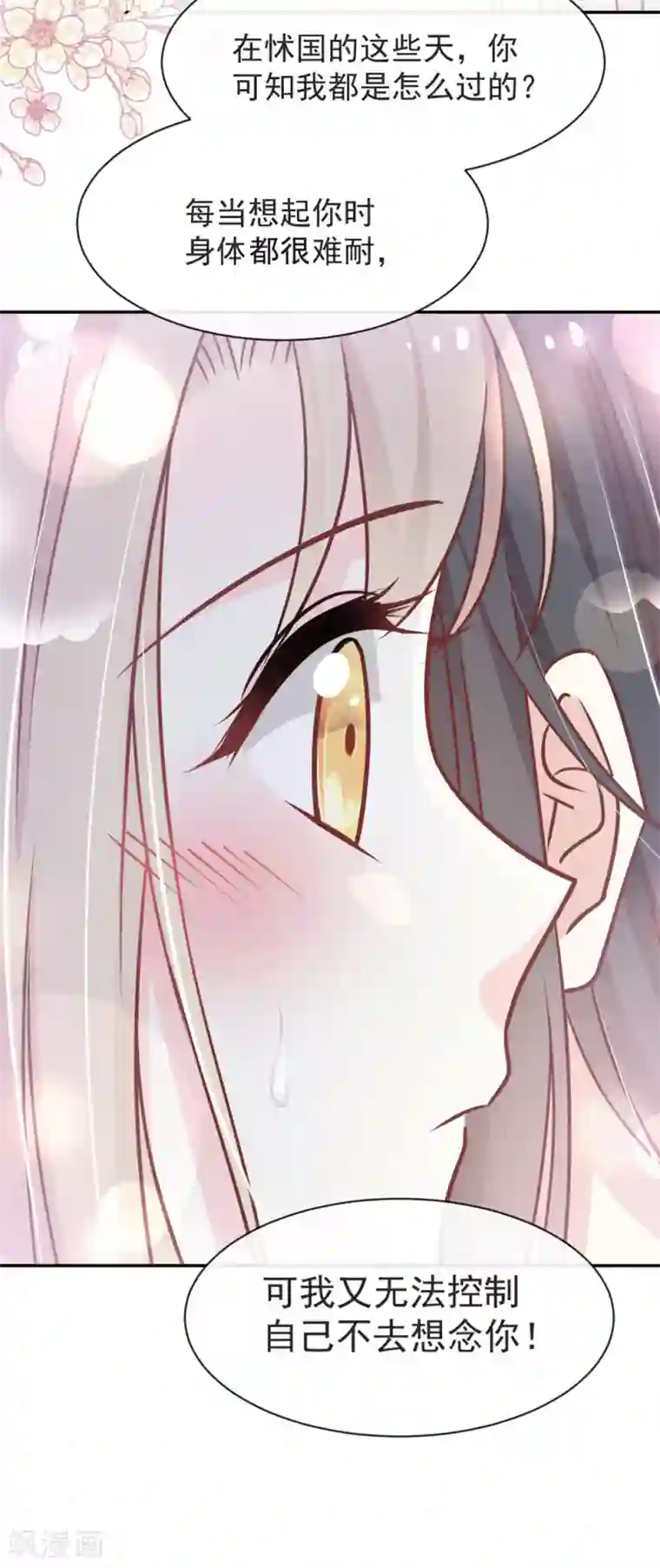 天下第一宠第108话 炙热的思念