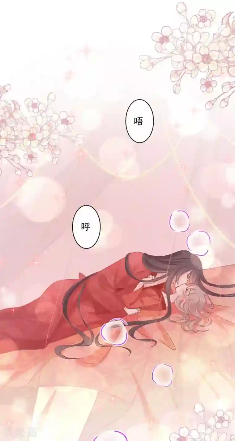 天下第一宠第119话 洞房花烛夜