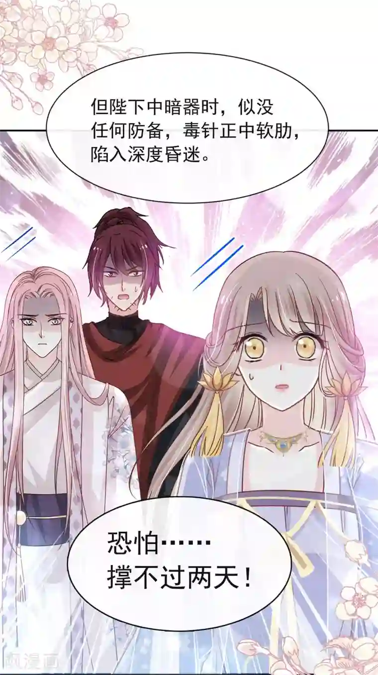 天下第一宠第133话 守护我们的家