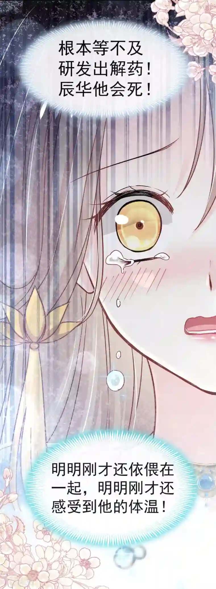 天下第一宠第133话 守护我们的家