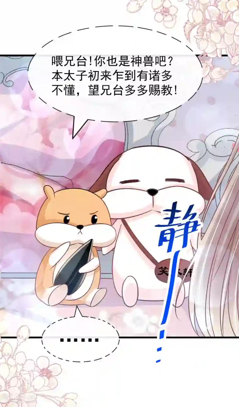 天下第一宠第142话 来到你的城市