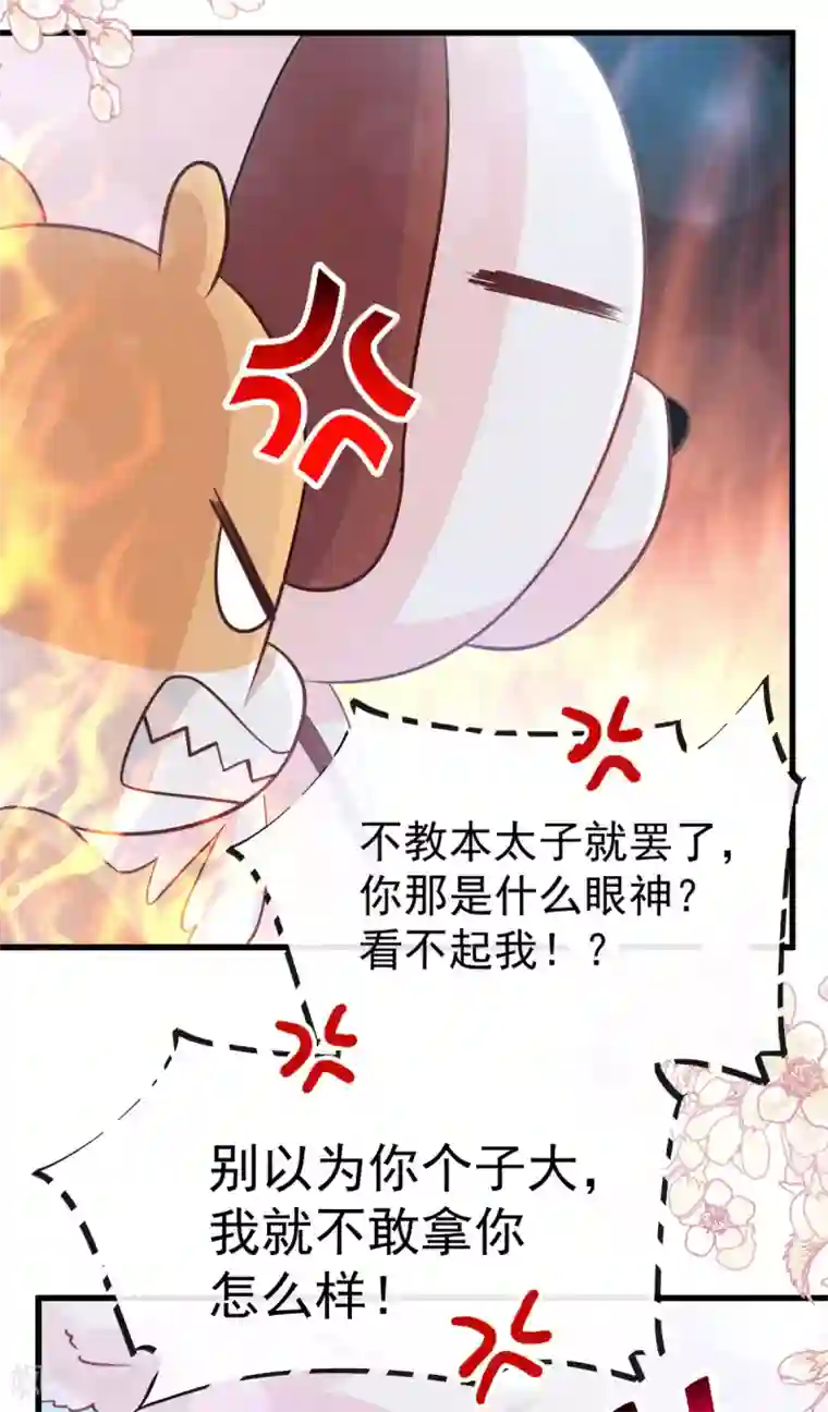 天下第一宠第142话 来到你的城市