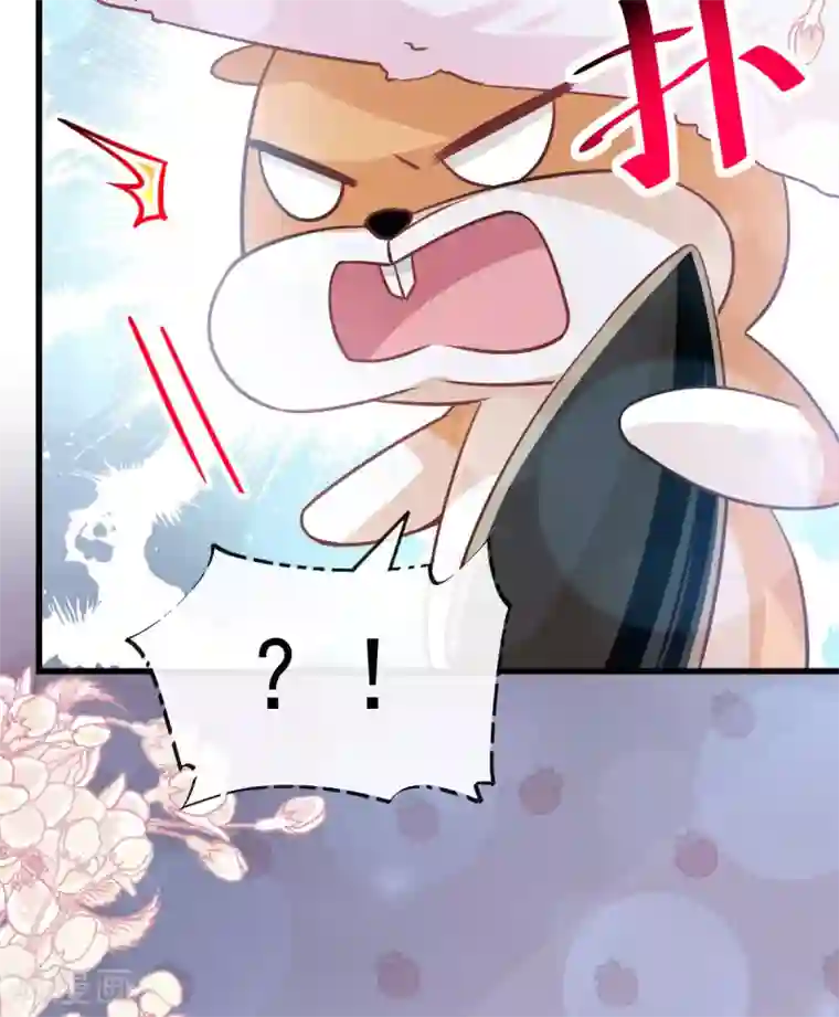 天下第一宠第142话 来到你的城市