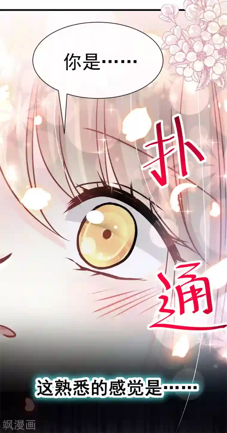 天下第一宠第144话 再嫁给我一次