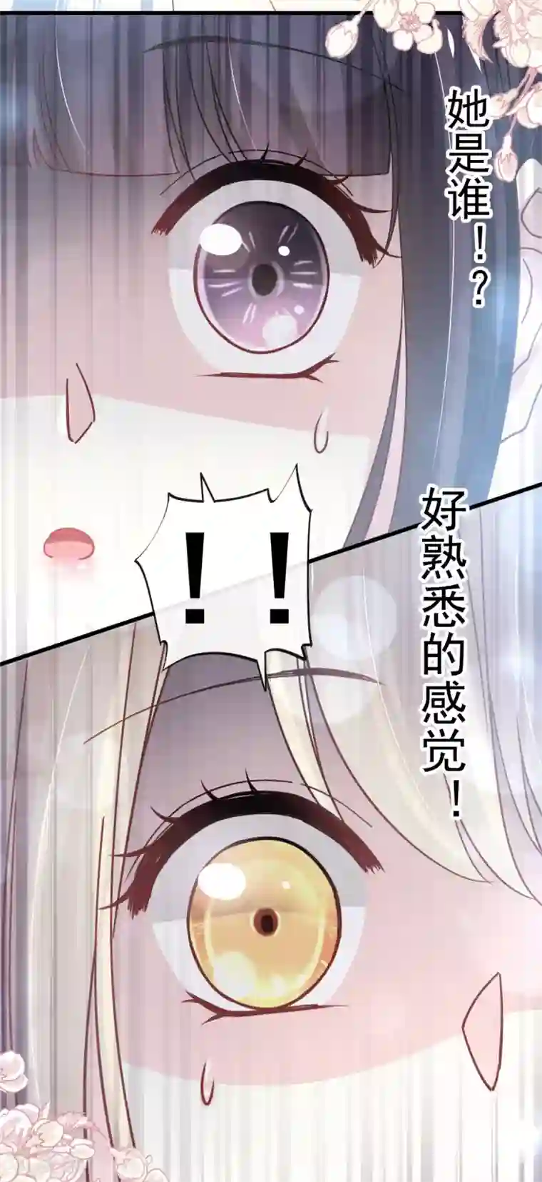 天下第一宠第153话 前世今生