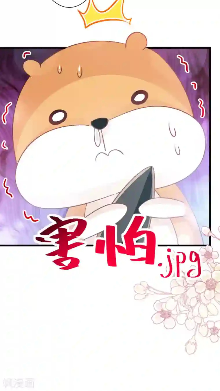 天下第一宠第153话 前世今生