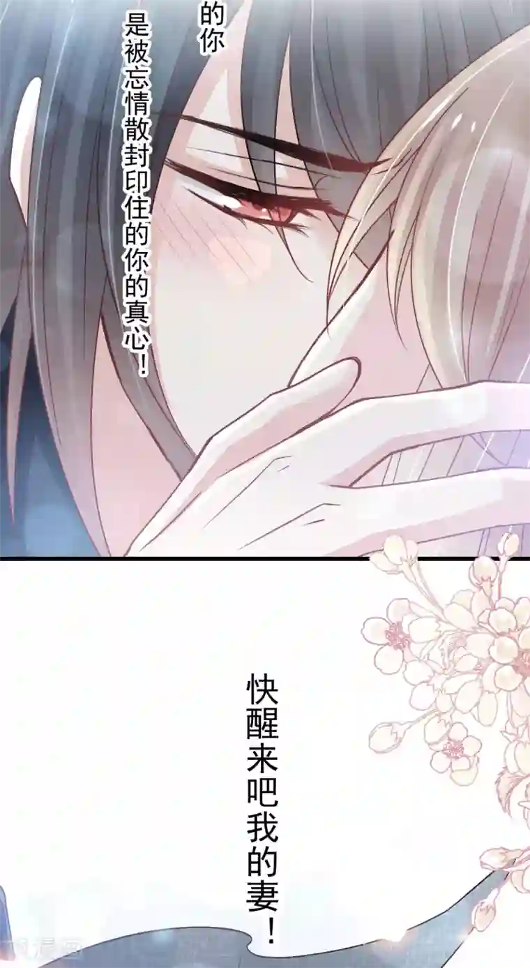 天下第一宠第156话 有人敲门