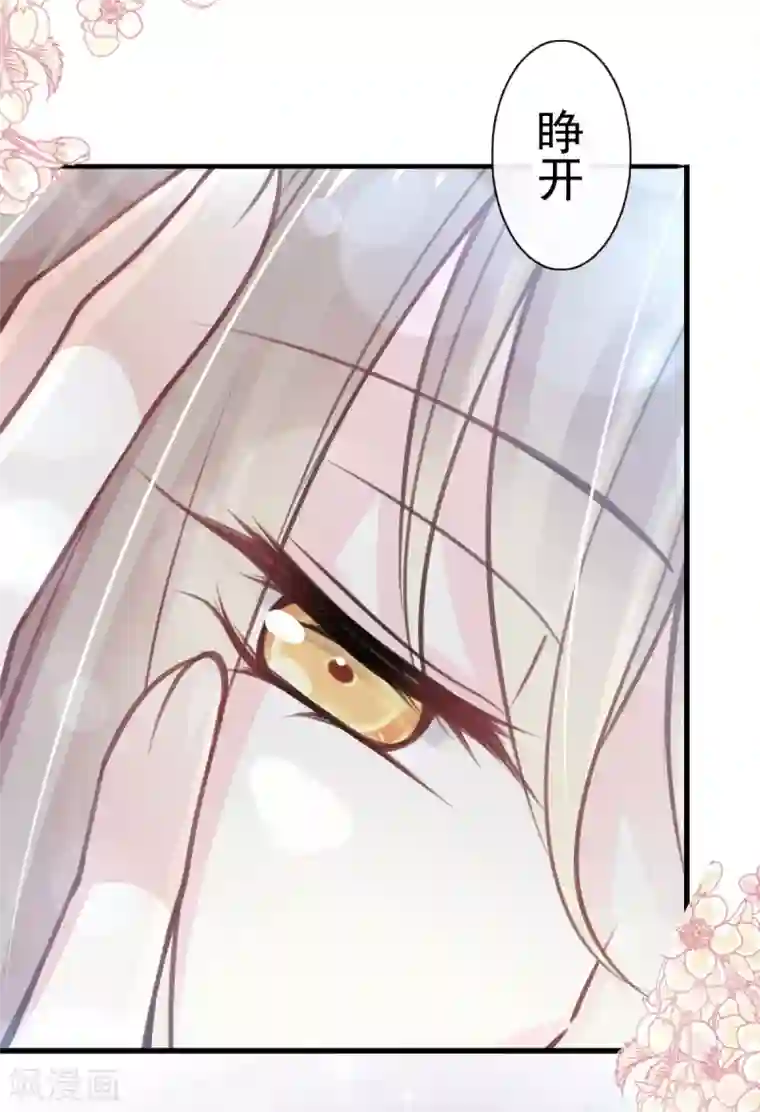 天下第一宠第160话 我的时间不多了