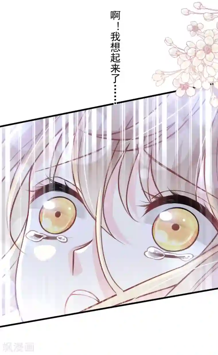 天下第一宠第176话 恢复记忆的那一夜