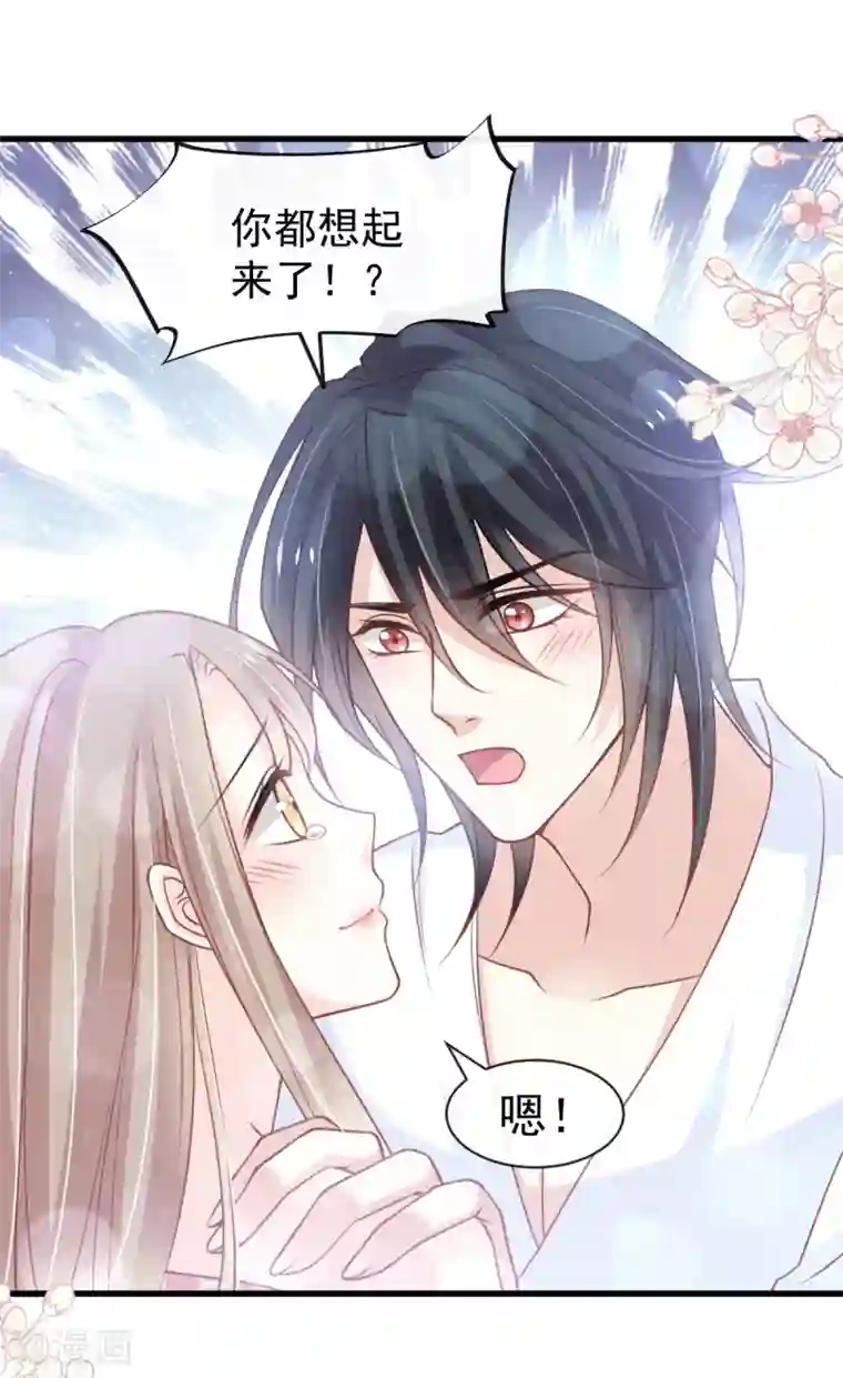 天下第一宠第176话 恢复记忆的那一夜