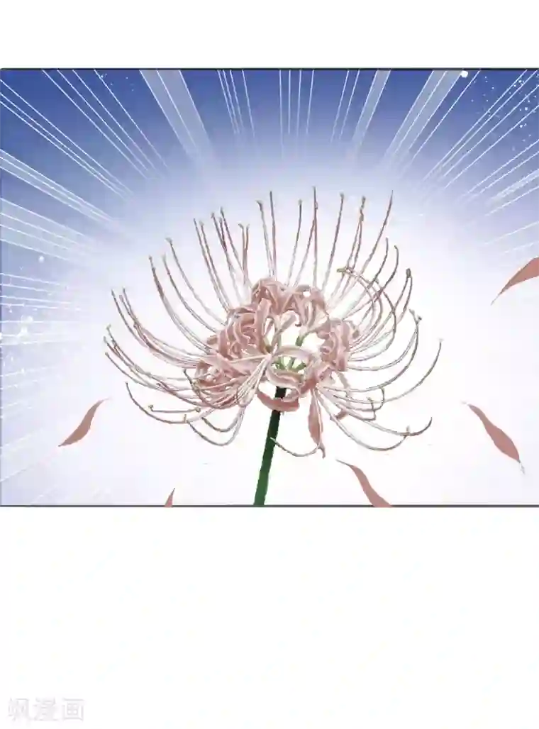 三生彼岸花第13话 情敌见面