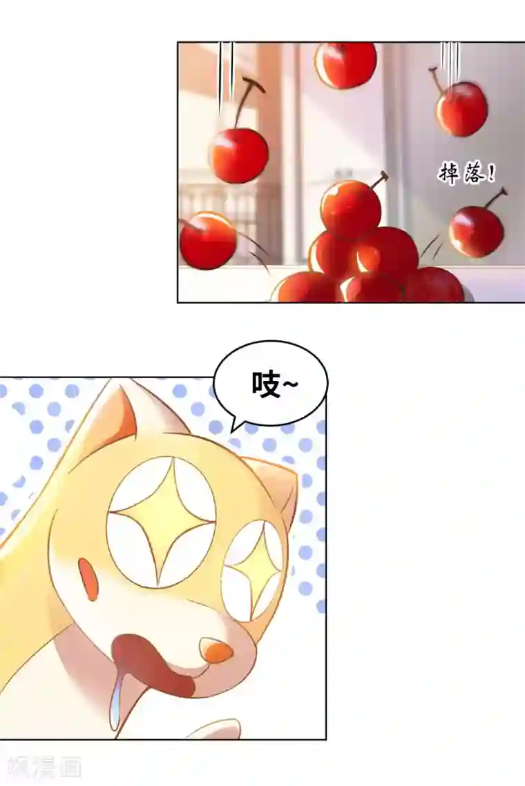 我的师傅是神仙第14话 走后门
