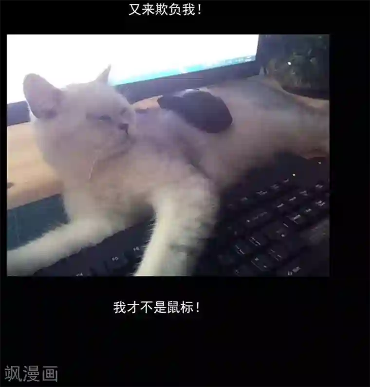 哥变成魔法少女了？！第24话