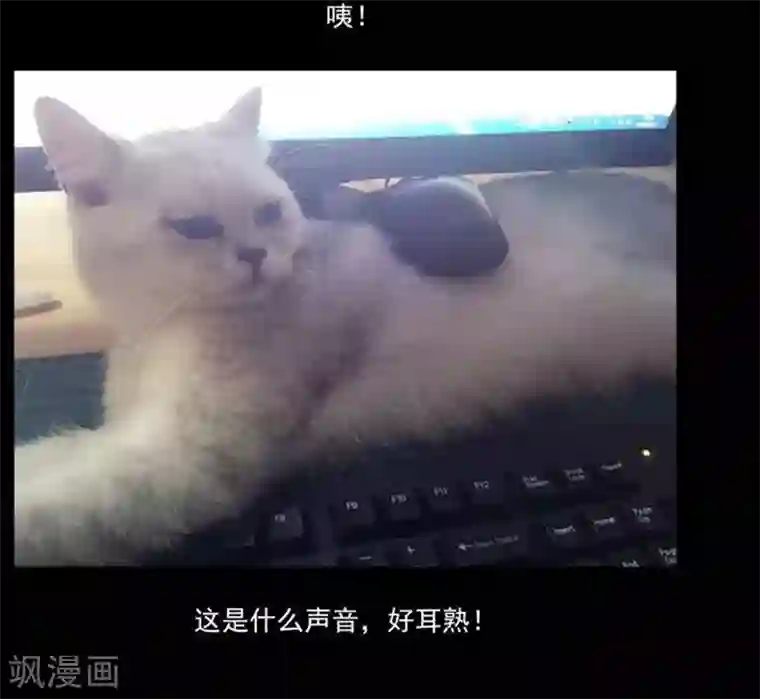 哥变成魔法少女了？！第24话