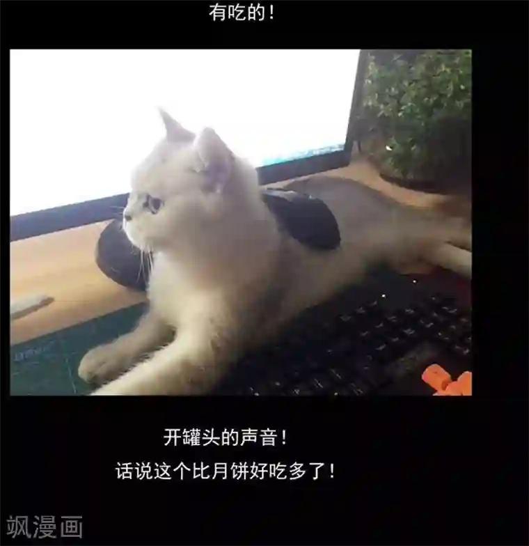 哥变成魔法少女了？！第24话