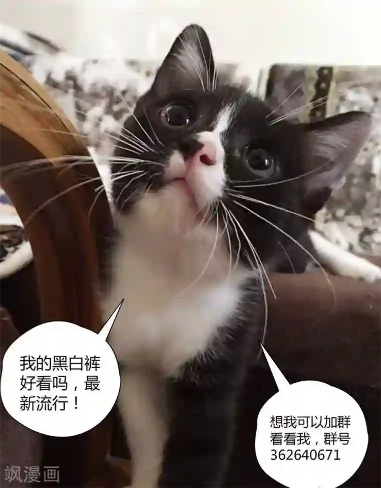 哥变成魔法少女了？！第24话