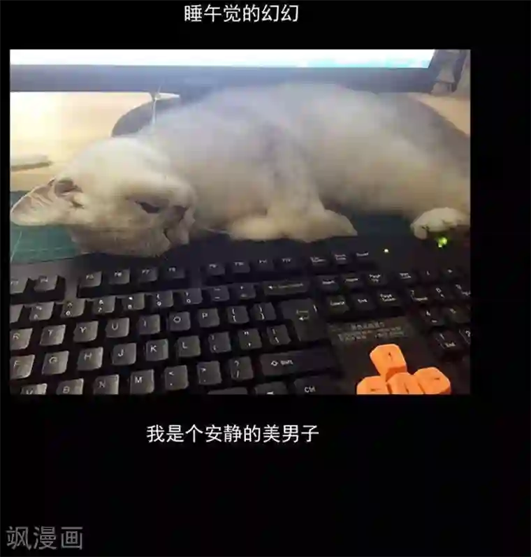 哥变成魔法少女了？！第24话