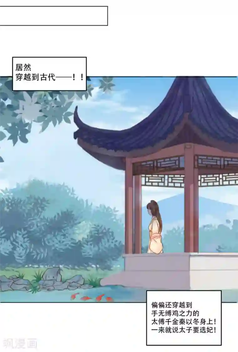 穿越之太子妃威武第1话 高兴你大爷