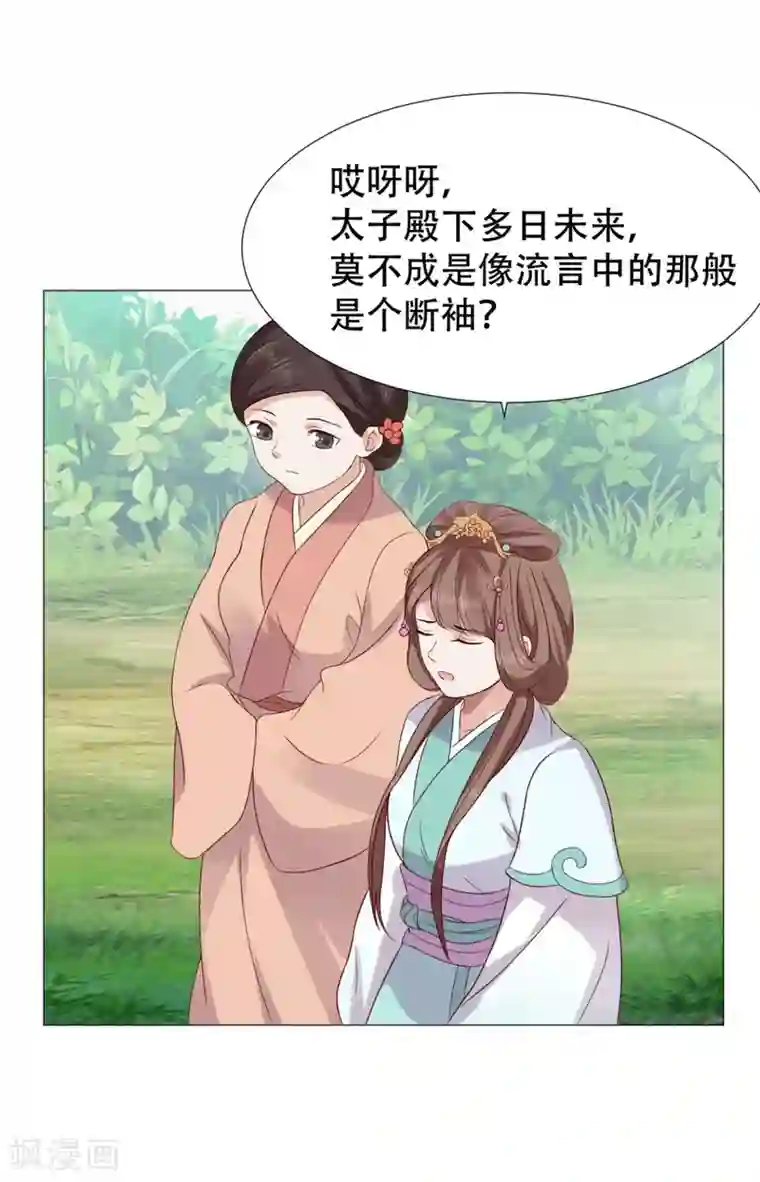 穿越之太子妃威武第11话 莫非太子真的是断袖？