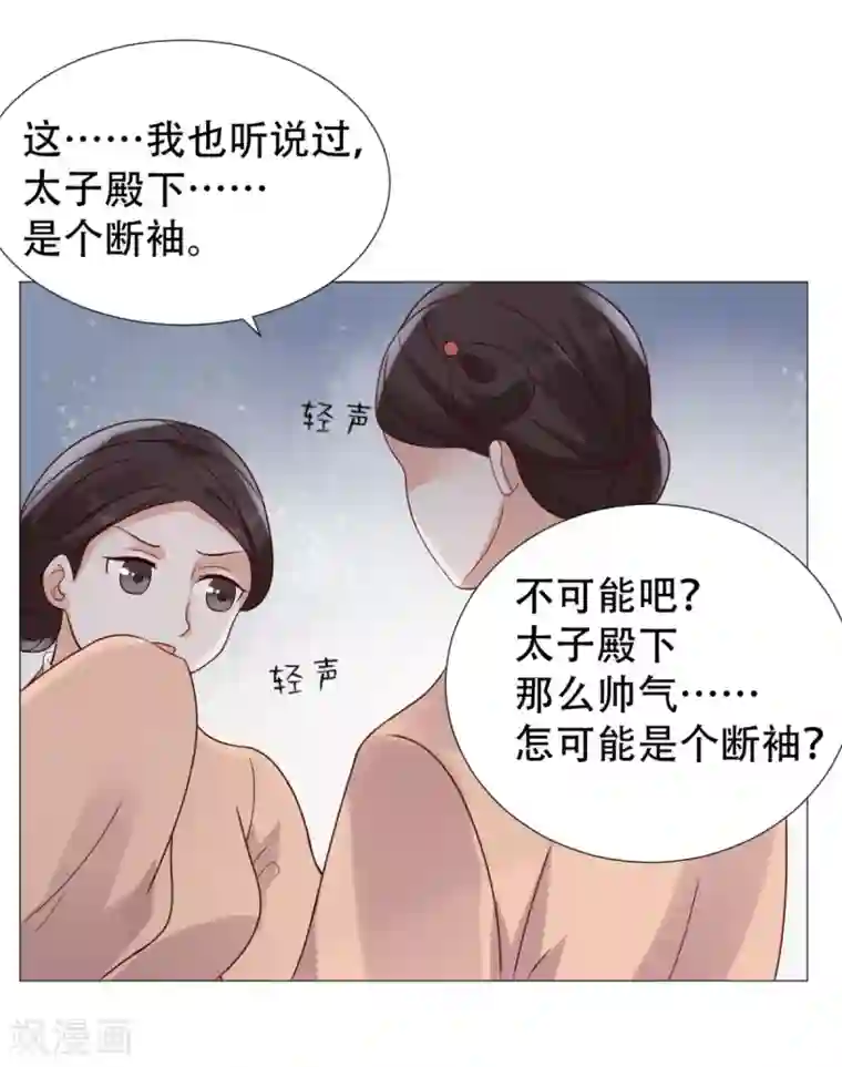 穿越之太子妃威武第11话 莫非太子真的是断袖？