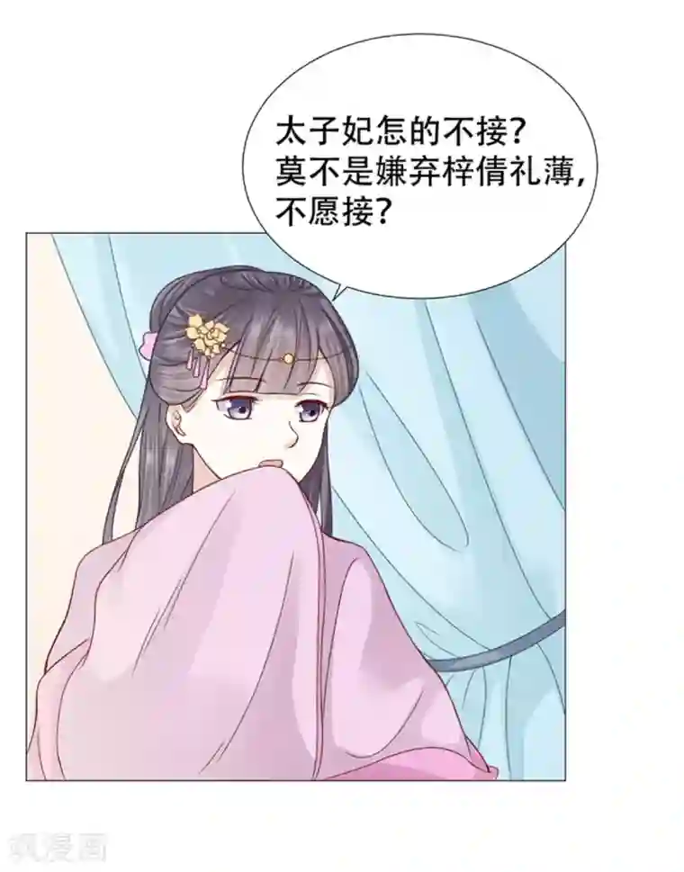 穿越之太子妃威武第20话 要我以身相许？