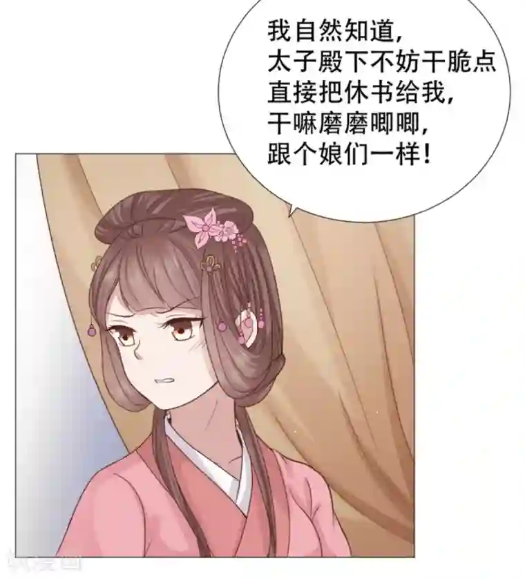 穿越之太子妃威武第25话 我来要休书！