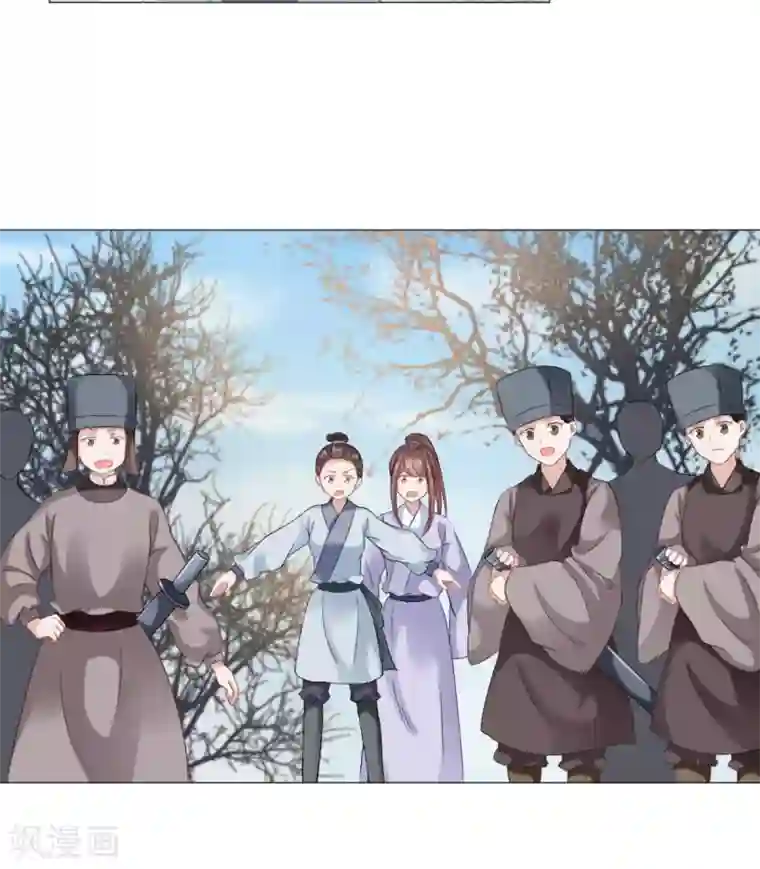 穿越之太子妃威武第37话 杀掉还是抓活的？