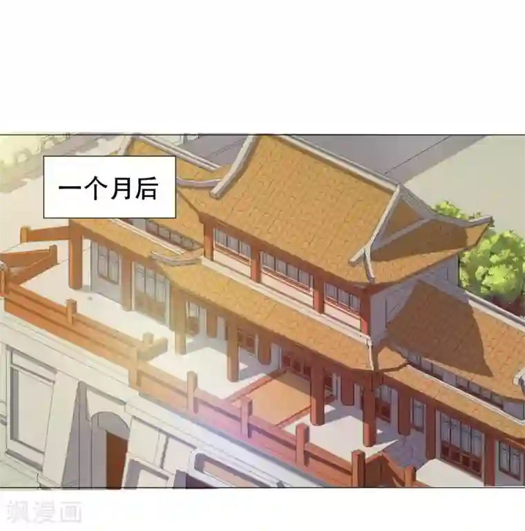 穿越之太子妃威武第60话 太子妃得了重病