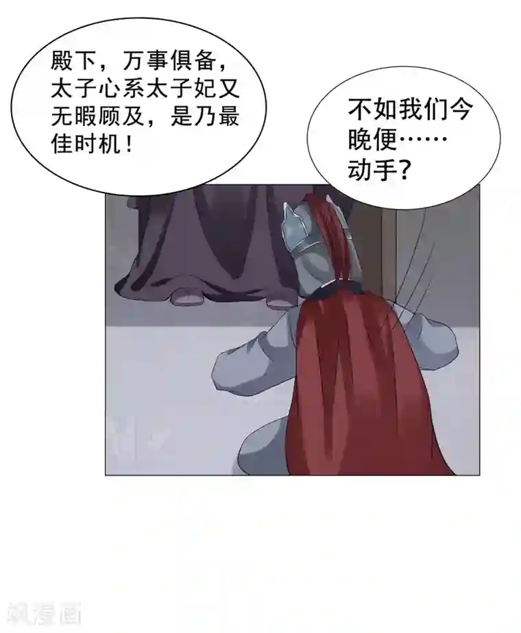 穿越之太子妃威武第60话 太子妃得了重病